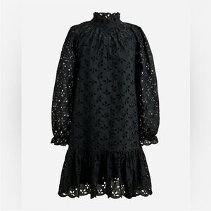 J.Crew Ruffleneck Eyelet Mini Dress